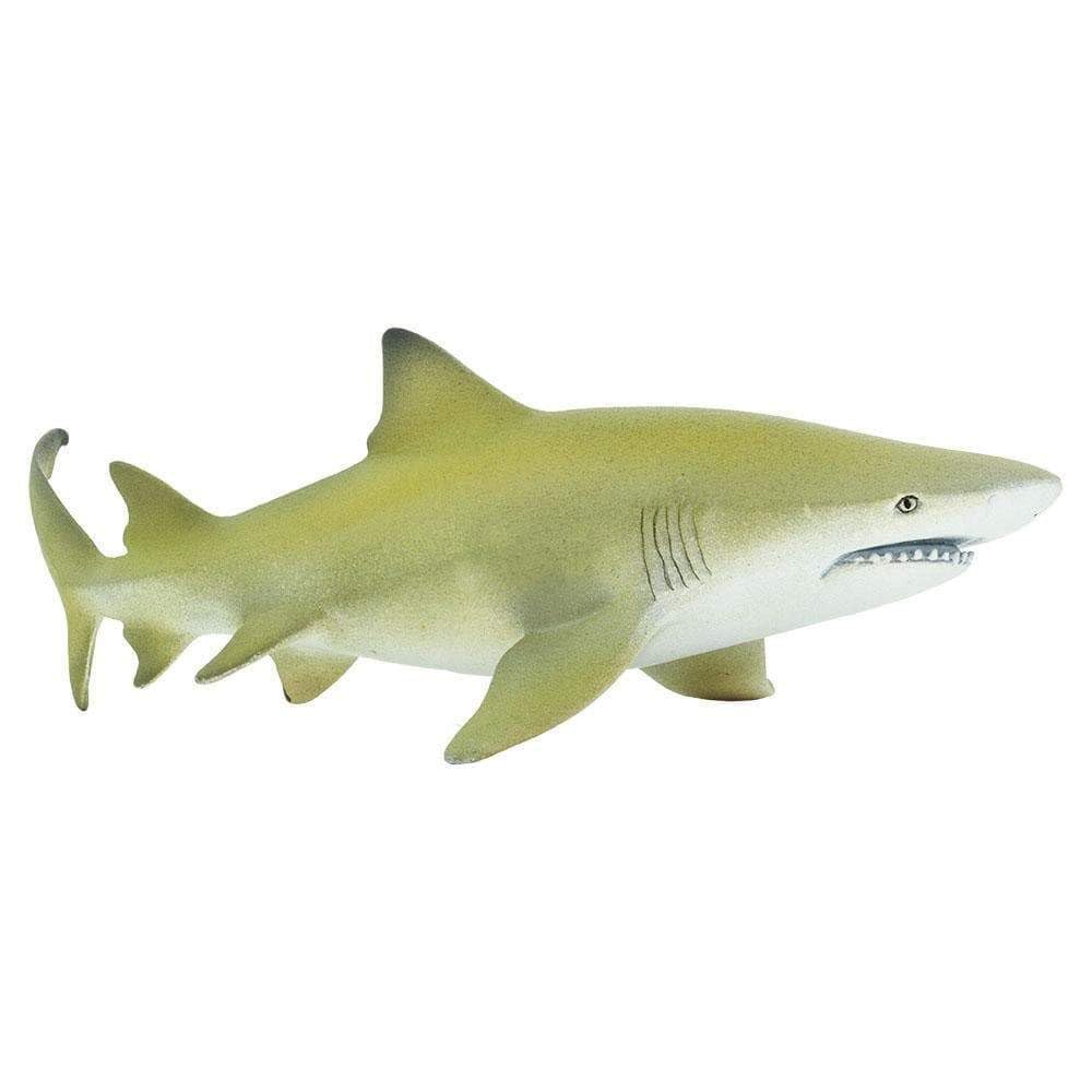 Safari Ltd. Lemon Shark Figurine- Realistic 5.75" PlasticFigure - Educational Toy for Boys, Girls and Kids Ages 3+