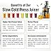 Zulay Fruit Press Machine - Masticating Juicer Machine with High Yield, Quiet Motor, & Reverse Function - Cold Press & Carrot Juicer with Wide Chute - Slow Juicer Machines for Fruits & Vegetables