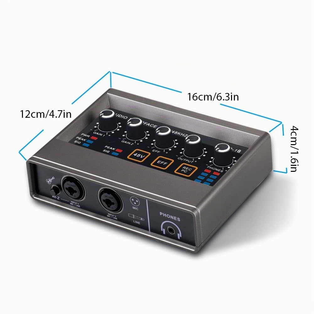Scheda Audio Interfaccia Audio Registrazione Interfaccia Audio XLR Riverbero DSP Alimentazione Phantom 48v Scheda Audio Risoluzione 16 Bit/48 Khz Plug And Play Per Registrazione