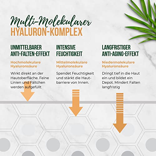 EINFÜHRUNGSPREIS BIO Hyaluron Creme Gesicht •100 ml• Hyaluron + innovativer Pflanzenölkomplex -Natürliche & nachhaltige… - Image 6