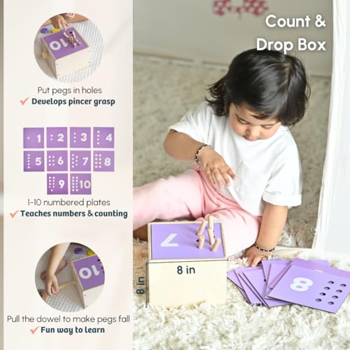 Image of Curious Cub Montessori Learning Wooden Baby Toys | Box 11: 24+ Months| Montessori Toys for 2 Year Old|Child Development & Problem Solving Baby|Fine Motor Recognition Skills | Birthday Gift Boy Girl