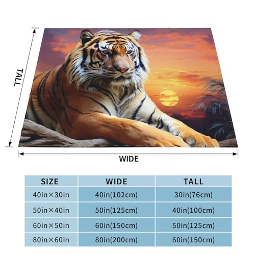 Couverture en peluche tigre 152x127 cm idée cadeau déco originale - 6