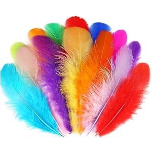 Soarer Coloridas plumas de gallo artesanales – 300 plumas de colores de 3 a 5 pulgadas a granel para manualidades de jardín de infantes, decoración de fiesta de boda, suministros de atrapasueños