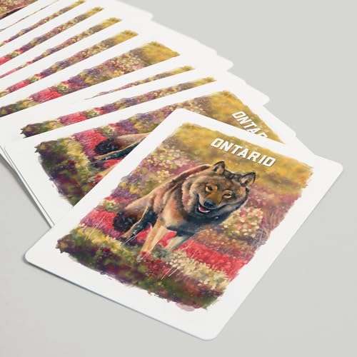 Lantern Press Ontario, Estudio Acuarela, Lobo Gris, 52 Cartas Poker miniatura 5