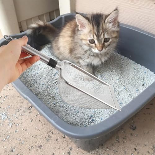 Ferramentas De Limpeza Para Animais De Estimação Pá De Aço Inoxidável Rede Areia Répteis Lagarto Tel