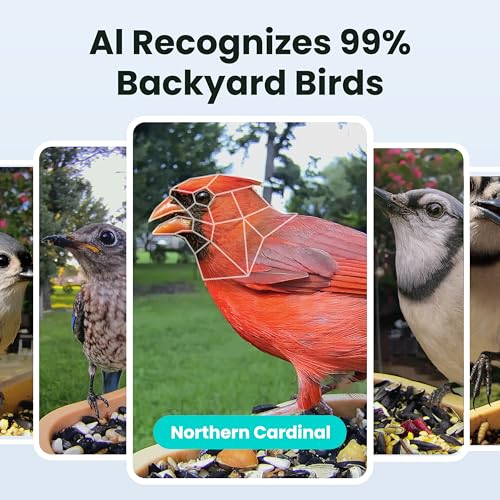 Image of Birdfy Smart Bird Feeder with Camera for Rookie, Camera Bird Feeder Dual Night Vision, AI Recognition IP66 Waterproof for BirdLovers, 1.3L Capacity