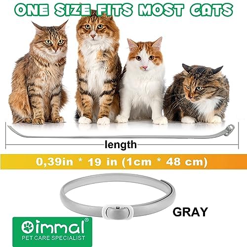 Collar Antipulgas y Garrapatas para Gatos - 4pcs Antiparasitario, Protección 24 Meses, Talla Única, Ajustable e Impermeable