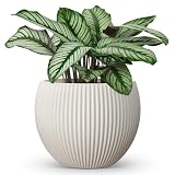 homenote Flower Pots 14.5 Inch,Large Plant Pots Indoor with Drainage,Plastic Pots for Plants,Garden Pots for Outdoor,Large Planters for Indoor Plants,Big Plastic Planter,Cream
