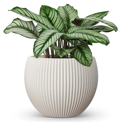 homenote Flower Pots 14.5 Inch,Large Plant Pots Indoor with Drainage,Plastic Pots for Plants,Garden Pots for Outdoor,Large Planters for Indoor Plants,Big Plastic Planter,Cream