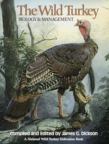 How long before sunset do turkeys roost
