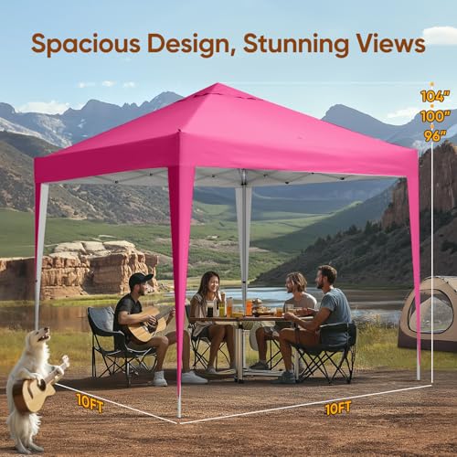 Quictent 10x10 Instant Setup Gazebo