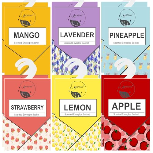 12PCS Ambientador Armario Ropa Limpia, Saquitos Armario...