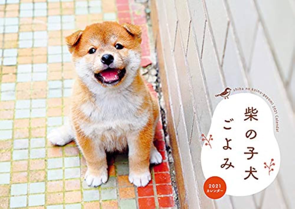 Wan 2021年1月号 柴犬日和 [別冊付録「柴の子犬 2021年