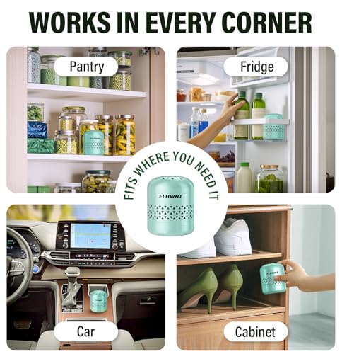 Image of Fridge Deodorizer, Lasts Up to 10 Years, Stainless Steel,Light Green