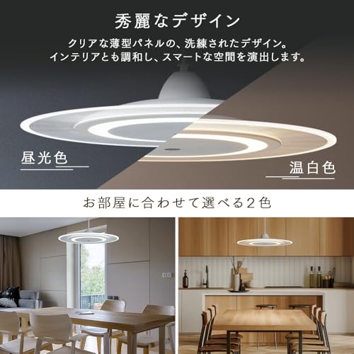 アイリスオーヤマ 屋内 LEDペンダントライト パネルライト 6畳 昼光色 節電 リモコン 調光10段階 メモリ点灯機能 留守番モード PLP6D-D ホワイト