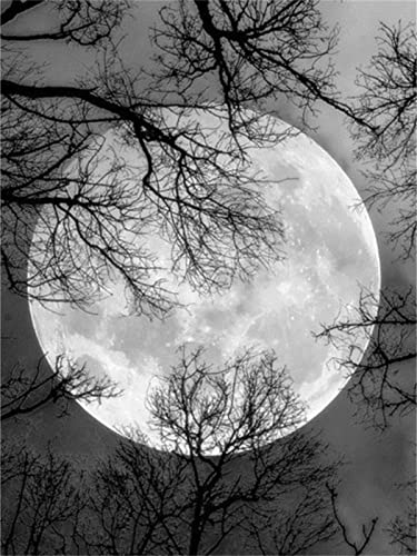 5D Pintura Diamante Painting Kit DIY Taladro Completo Luna Hada Adultos Niño Punto Cruz Cuadro Grande Puzzle Rhinestone Bordado Art Home Pared Decor Manualidades 70x90cm Cover