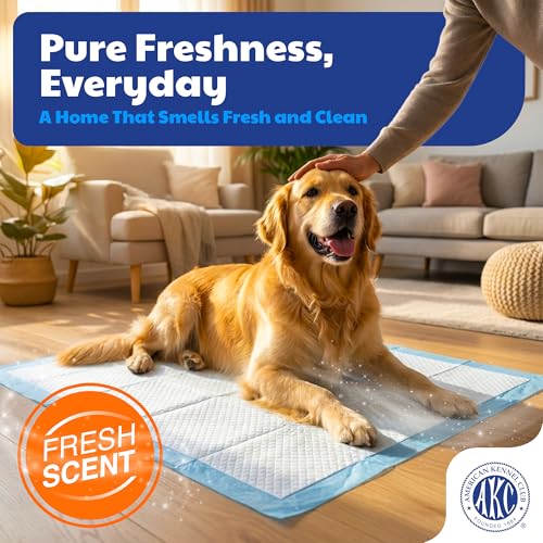 Image of American Kennel Club Scented Puppy Training Pads with Ultra Absorbent Quick Dry Gel - 28 x 30 Pee Pads for Dogs - Fresh Scented - 50 Count, XL