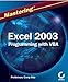 Mastering Excel 2003 Programming with VBA