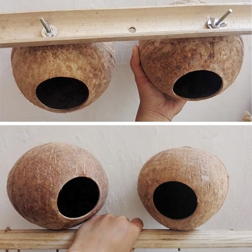 Image of OMEM Bird Coconut House,Hamster House,Coconut Shells can Fixed in Bamboo, Birdcages, Hamster Cages (M)