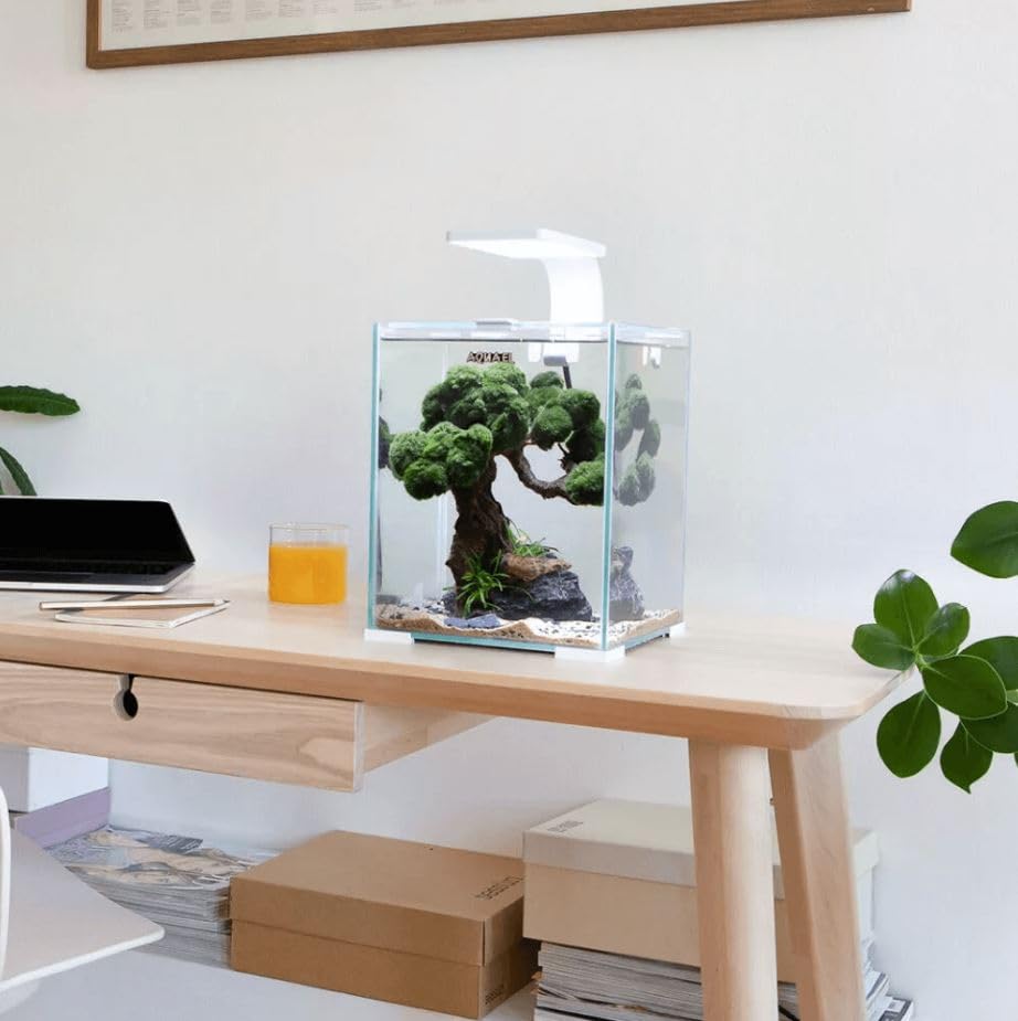 Accesorios de cámaras Shrimp Smart D&N 10 ECOM con soporte estable para fotografía diurna 3