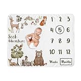 Sweet Jojo Designs Milestone-ForestAnimals
