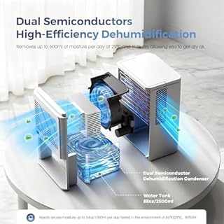 Deumidificatore 2500ML, Deumidificatore Casa Muffa Elettrico, Ultra Silenzioso, Spegnimento Automatico, Purificatore Dell'aria, Contro Umidità e Muffa per Camera da Letto, Bagno, Casa