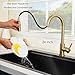 Hotis Gold Kitchen Faucet with Pull Down Sprayer, High Arc Stainless Steel Sink Faucet, Brushed Gold Bar Faucet Fit for 1 Hole Sink, Easy Install for Kitchen Farmhouse RV, HT-KBD101G