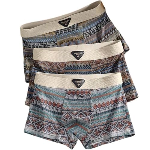 Empiricala Retro Pattern Design Men's Premium Cotton Boxer Briefs Breathable Moisture-Wicking Underwear Pack with Flexible