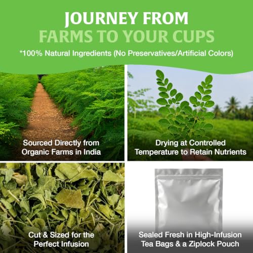 Image of HANDPICK Organic Moringa Tea (40 Tea Bags) Pure Moringa Leaves from India