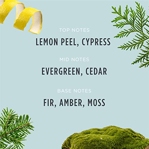 Xmas Tree Fragrance Candle - Image 4