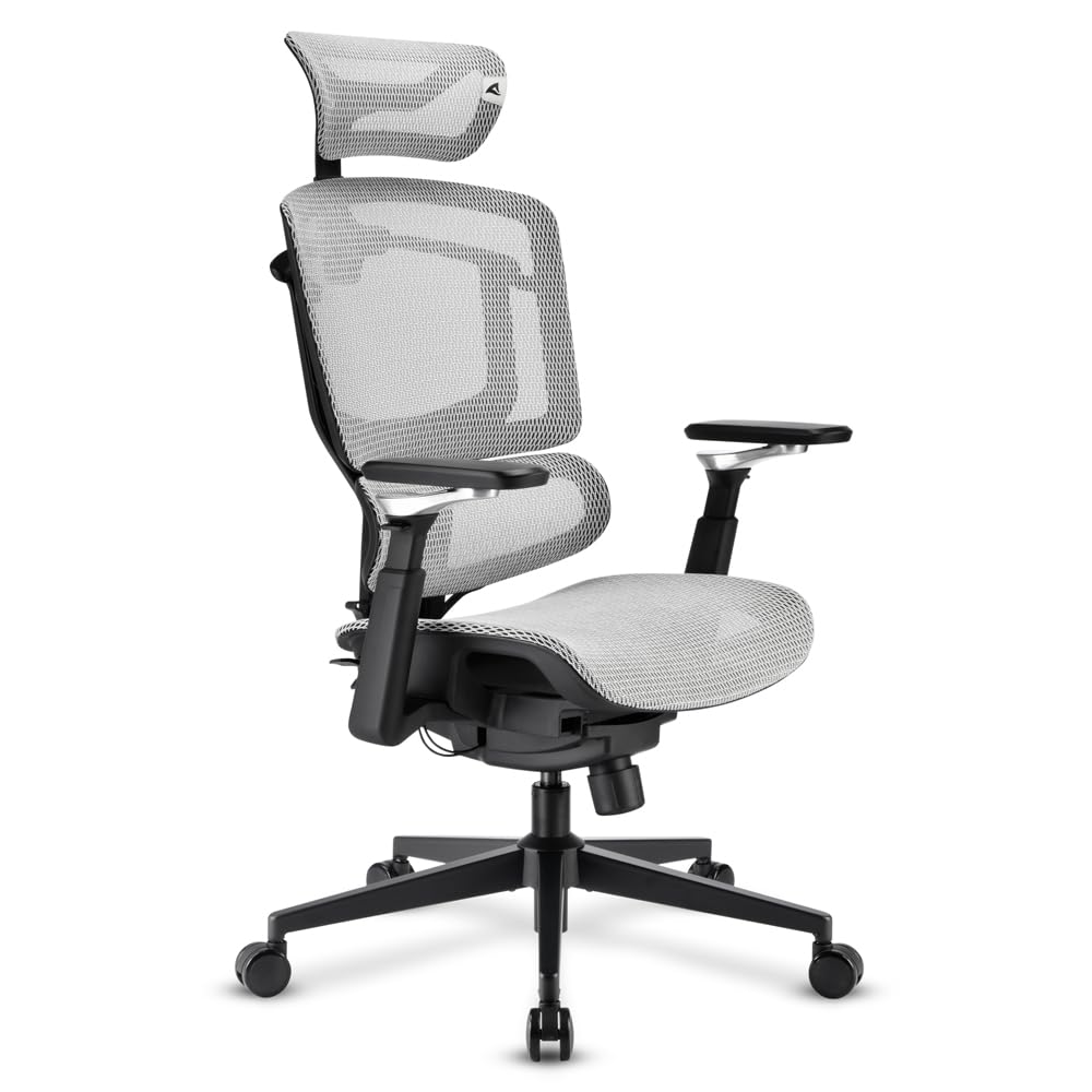 Sharkoon Officepal C50m B?rostuhl SchwarZ-Grau Gepolstert Netzr?ckenlehne 120 kg