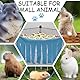 MIRKUZI Kleintierhängematten 1 Stück Kleintier-Verstecktuch, Meerschweinchen-Zubehör, Meerschweinchen-Hängematte, Meerschweinchen-Käfig-Zelt-Zubehör, Meerschweinchen-Haus-Dekorationszubehör