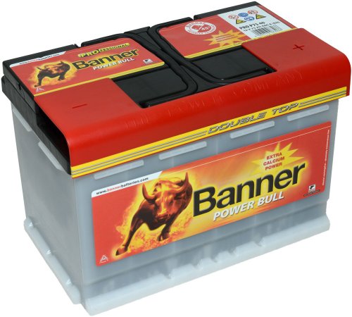 Banner POWER BULL PROFESSIONAL PRO P77 40
