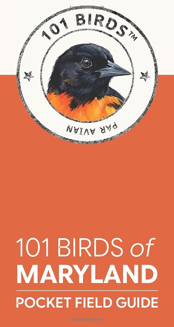 101 Birds of Maryland: Pocket Field Guide (101 Birds Pocket Field Guides)