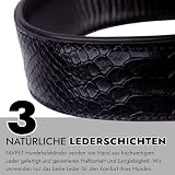 FAVPET Luxus Echtleder Halsband Hund Breit mit QR Code Anhänger, Gepolstertes Hundehalsband Leder Breit, Breites Lederhalsband Hund, Breite Hunde Halsbänder, Welpenhalsbänder Leder (Schwarz, M)