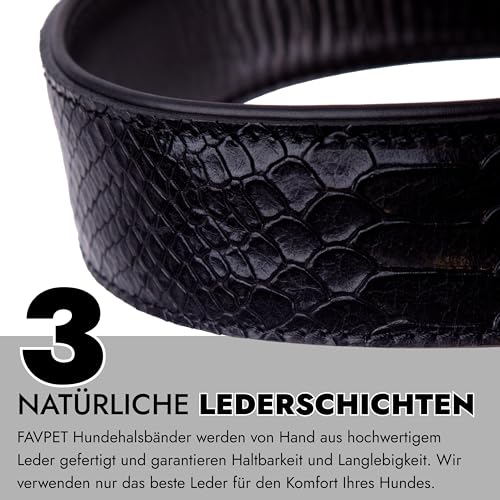 FAVPET Luxus Echtleder Halsband Hund Breit mit QR Code Anhänger, Gepolstertes Hundehalsband Leder Breit, Breites Lederhalsband Hund, Breite Hunde Halsbänder, Welpenhalsbänder Leder (Schwarz, M)
