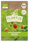 FLORTUS Freude an Vielfalt