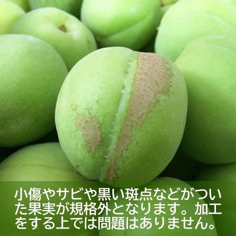 Amazon.co.jp: 善八の「豊後梅」青梅 (規格外品 Sサイズ) | 青森県産