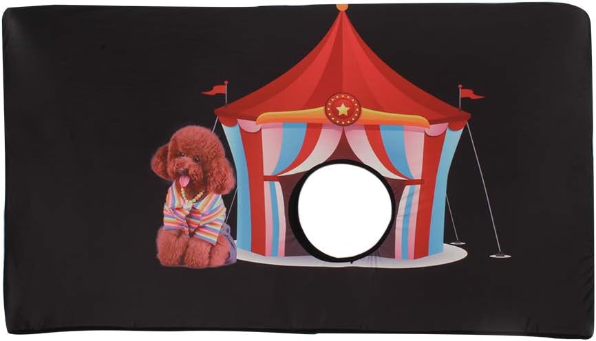 barriere per animali da compagnia per auto