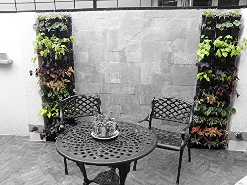 Bowry Living Wall Planters 2 Frames 6 pots
