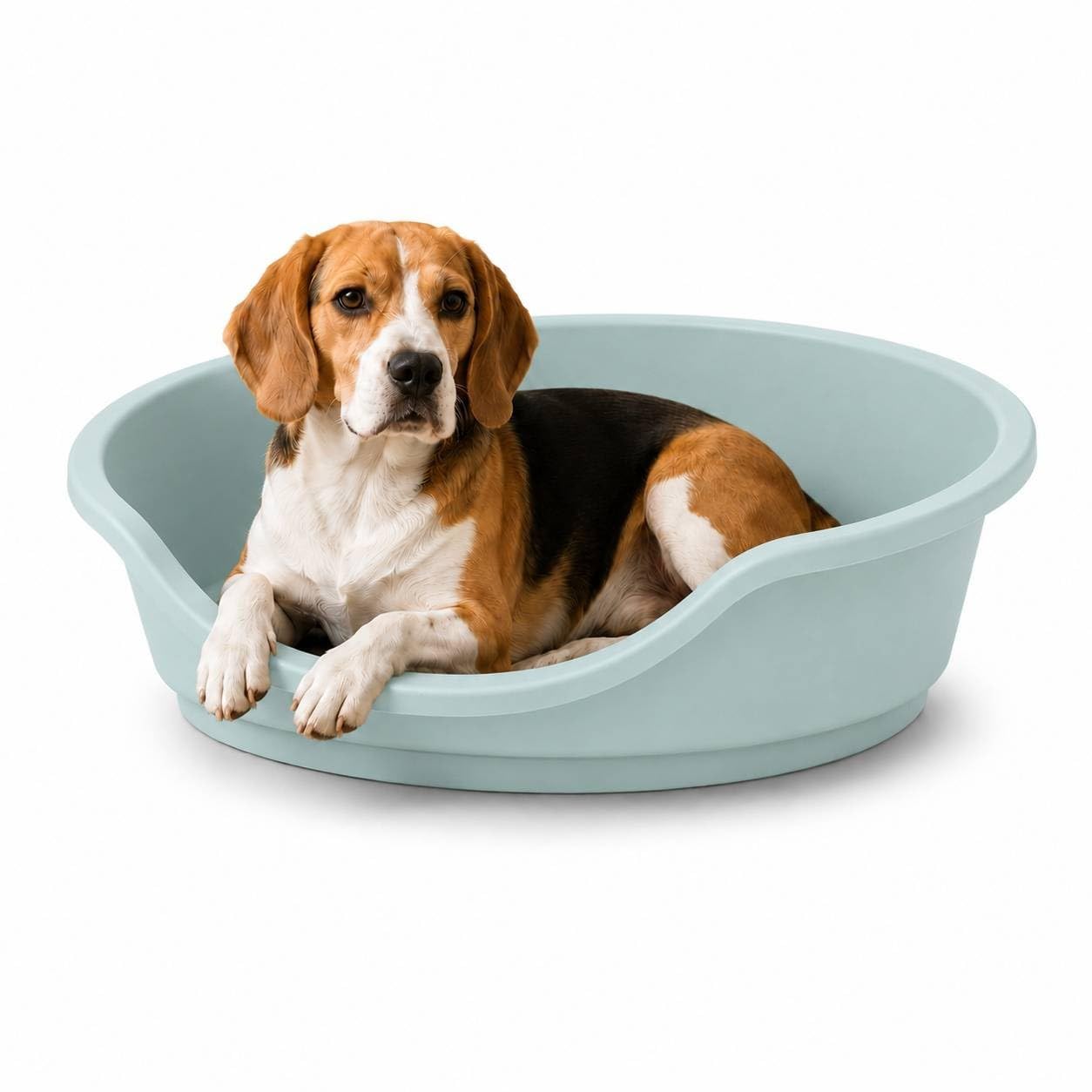 URBNLIVING Hard Plastic Dog & Cat Pet Bed, Heavy Duty Waterproof Oval Basket with Ventilated Base, Anti-Slip Feet, Chew Resistant Washable Pet Bed for Puppies, Dogs & Cats - Light Blue & Small