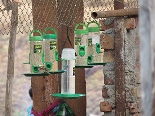 Image of Amijivdaya Large Bird Feeder with Hut Multi Color (1 Pieces)