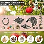 Yixund hamster toys rat toys chinchilla toys hamster chew toys cage accessories apple wood sticks ladder bell roller for gerbil guinea pigs and other small animal 10 51z33azawql. Sl500. Ss150