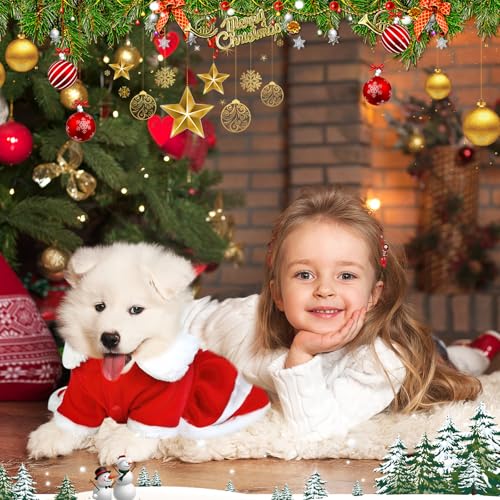 Vestido de Navidad para perro Santa Claus talla Large miniatura 5