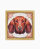 Mandala Dachshund CS692-1 - Counted Cross Stitch KIT#2. Set of Threads, Needles, AIDA Fabric, Needle Threader, Embroidery Clippers and Printed Color Pattern Inside.