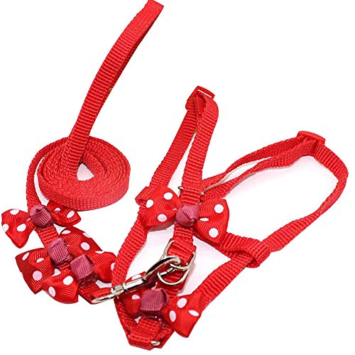 pawtitas harness