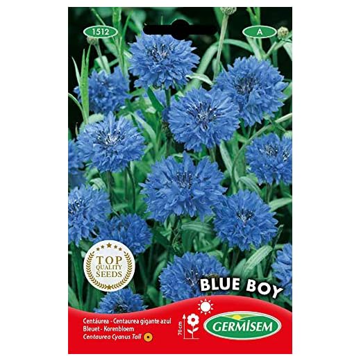 Germisem Blue Boy Semillas de Aciano 1.5 g