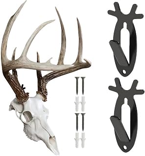 PIT66 2 Pack European Mount Skull Hanger,Stainless Steel Wall Mount Bracket for Hanging Deer, Mule, Antelope, Coyote, Small Game Animals,20 LB Living Room Bedroom Home Decor Hook