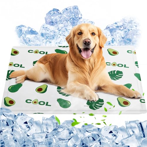 Beliebte Kühlmatten für Katzen