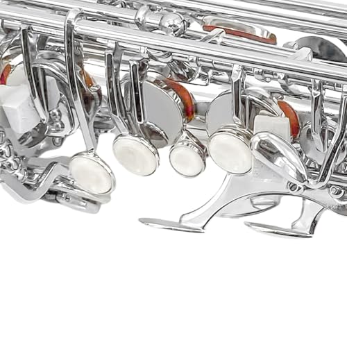 Image of Yinfente Eb Alto Saxophone For Beginners Adult,Saxophone Student,E Flat Alto Sax Full Kit With Reeds,Pads Cushions,Hard Carrying Case,Cleaning Cloth & Rod,Mouthpiece,Gloves,Neck Strap Silver